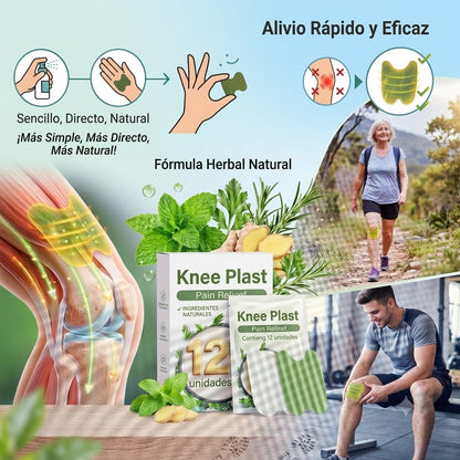 Parches de Alivio del Dolor de Rodilla 12pcs